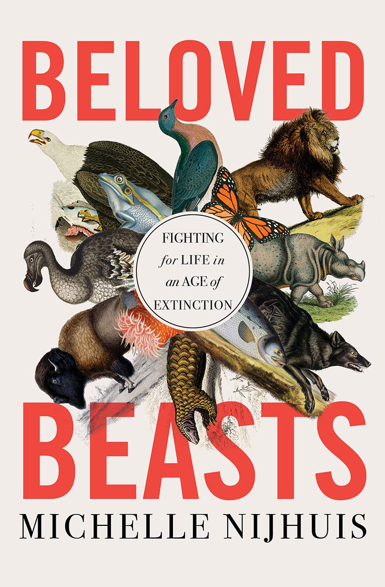 beloved beasts