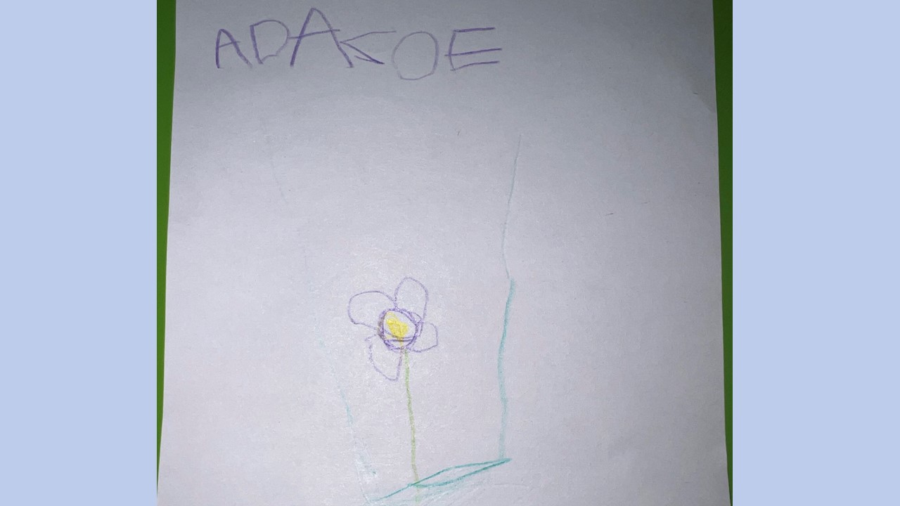 class paintings