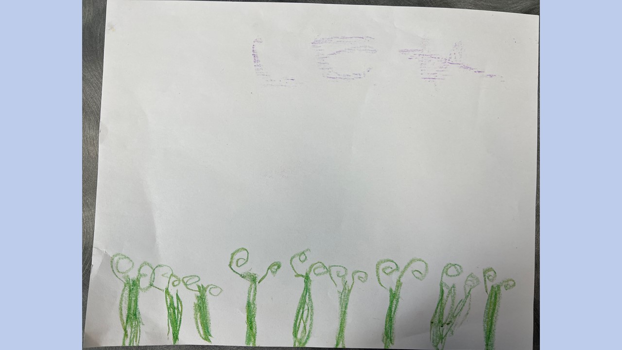class paintings