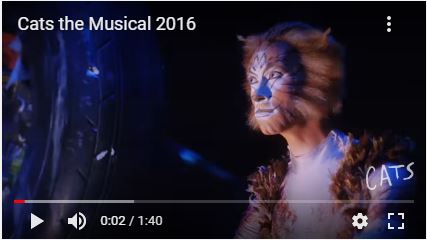 Cats the musical