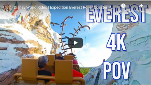 Expedition Everest ride through