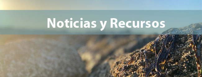 recursos en Espagnol