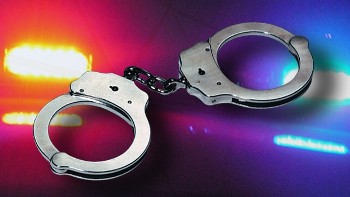 Arrest Log