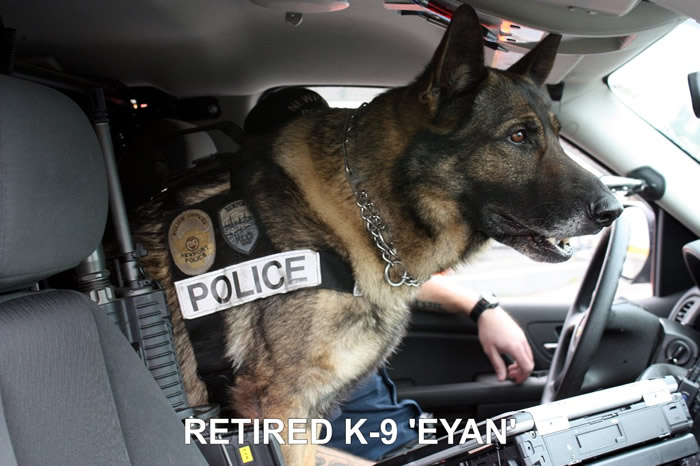 RETIRED K-9 'EYAN'