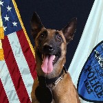 K-9 Zoe