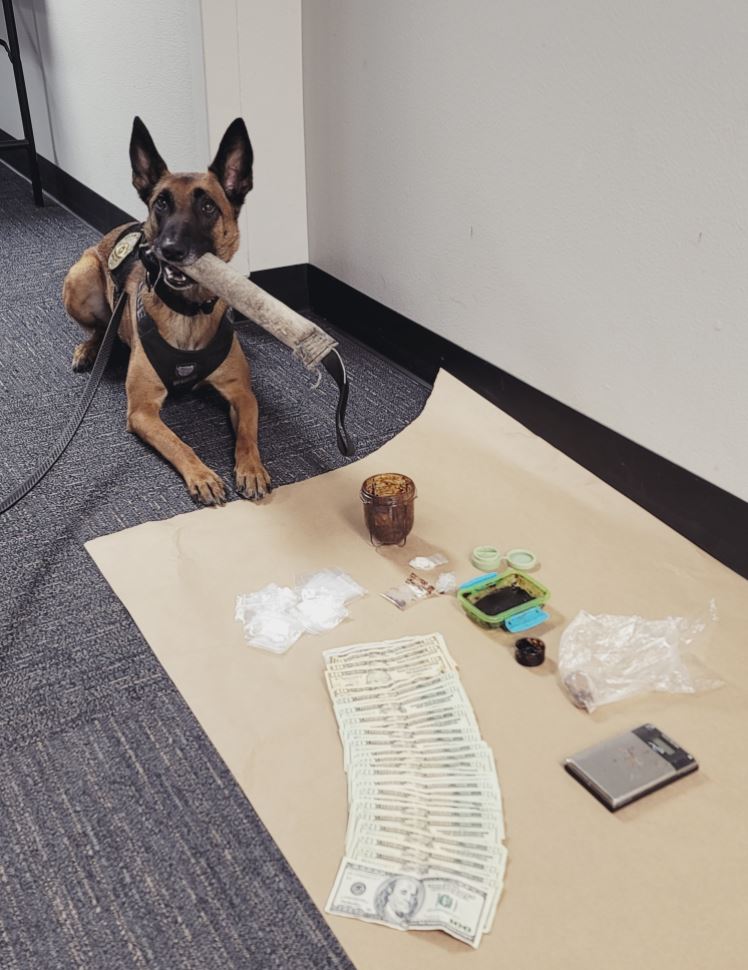 K9 Zoe drug arrest