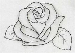 Drawing