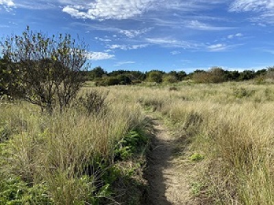 South Beach State Park