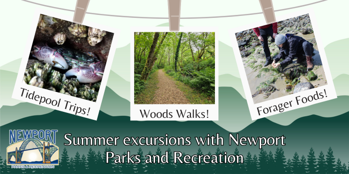 Summer Excursions