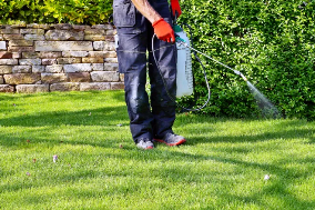 Person spraying pesticide